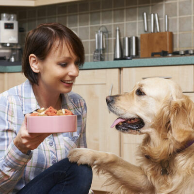 Signs and Triggers for Food Allergies in Dogs