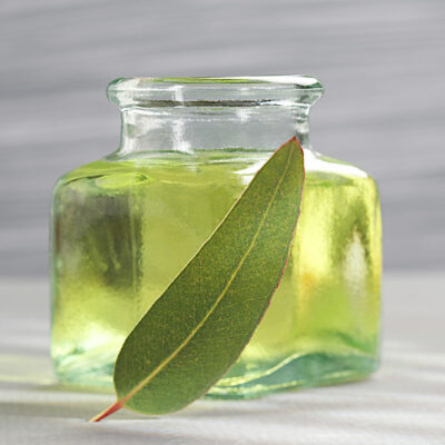 4 Factors to Consider Before Using Essential Oils on Pets