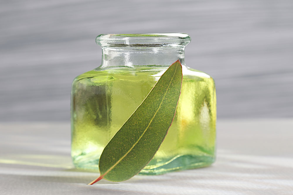 4 Factors to Consider Before Using Essential Oils on Pets