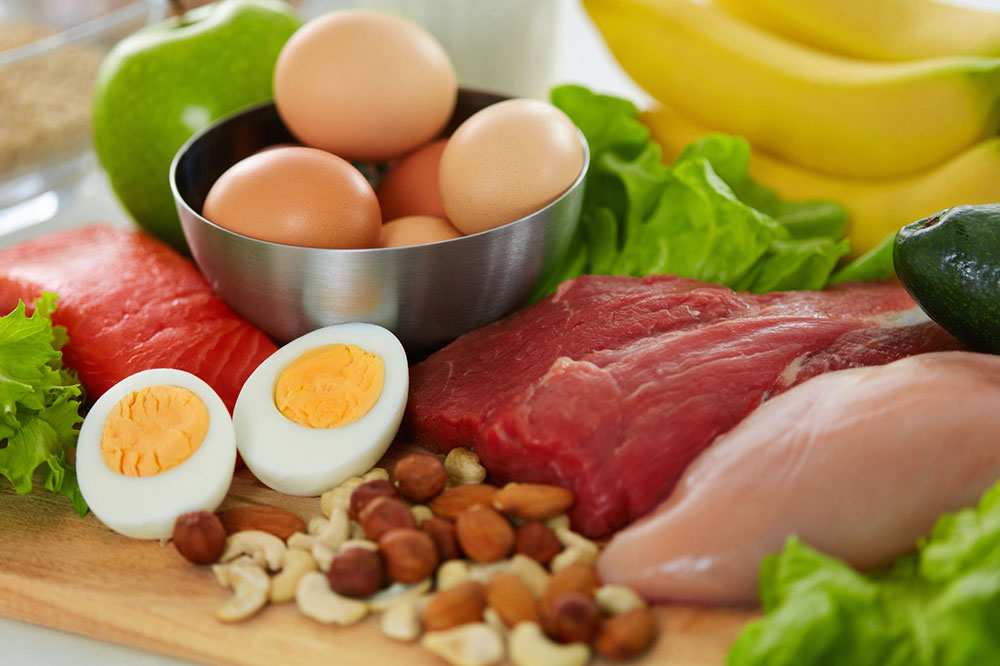 4 Tips for Choosing a Healthy Dog Food