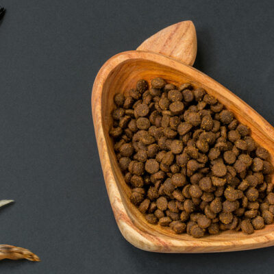 5 Tips for Choosing Healthy Cat Treats