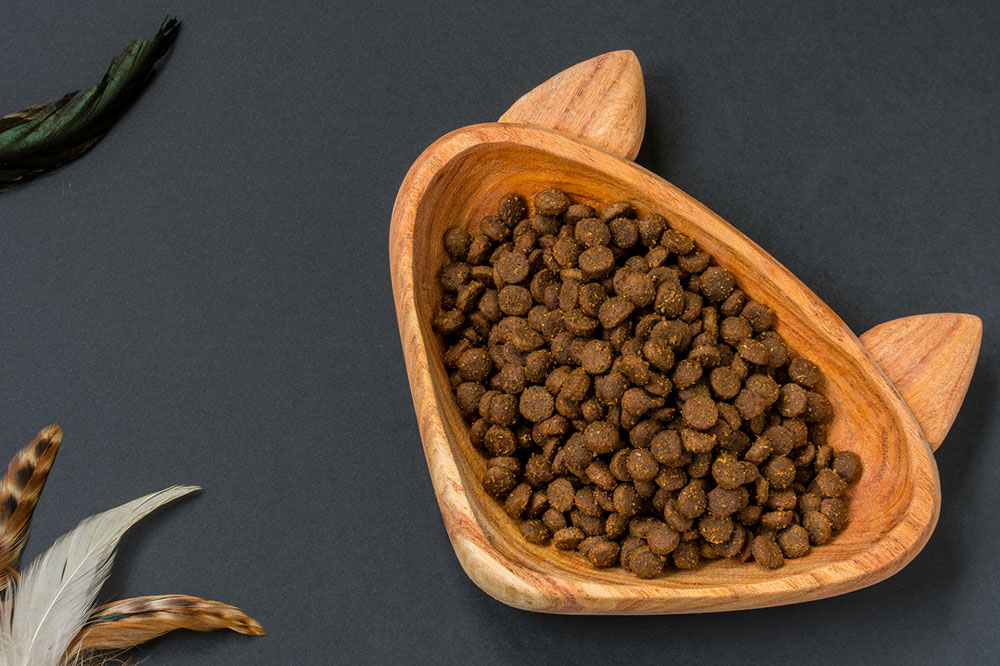 5 Tips for Choosing Healthy Cat Treats