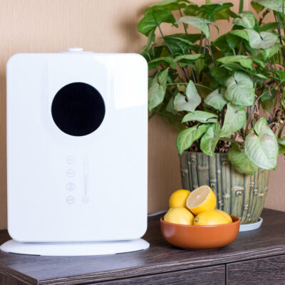 5 Reasons To Buy an Air Purifier