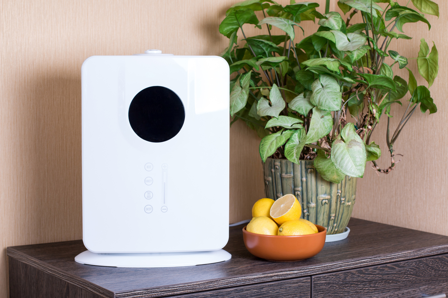 5 Reasons To Buy an Air Purifier