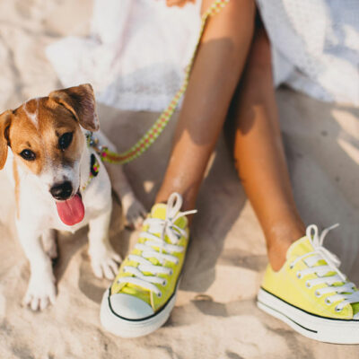 6 Tips for Seamless Pet-friendly Travel