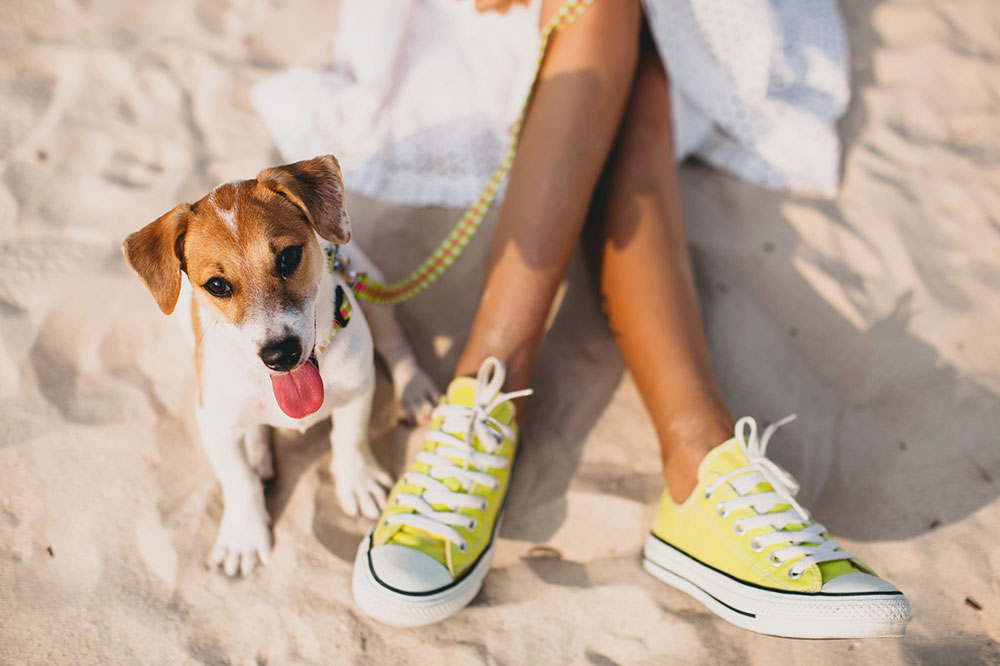 6 Tips for Seamless Pet-friendly Travel