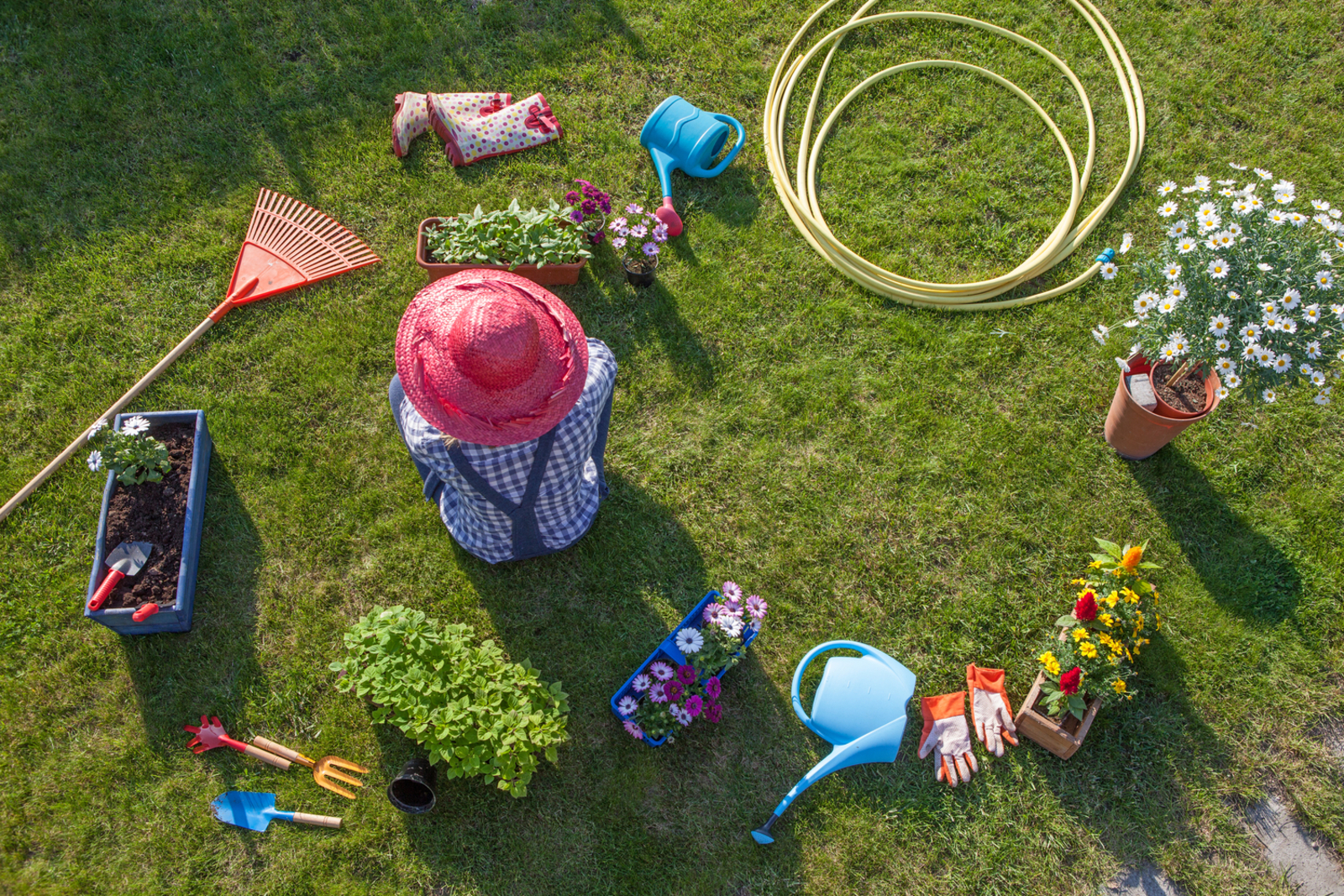 7 Genius Lawn Care Hacks That Really Work